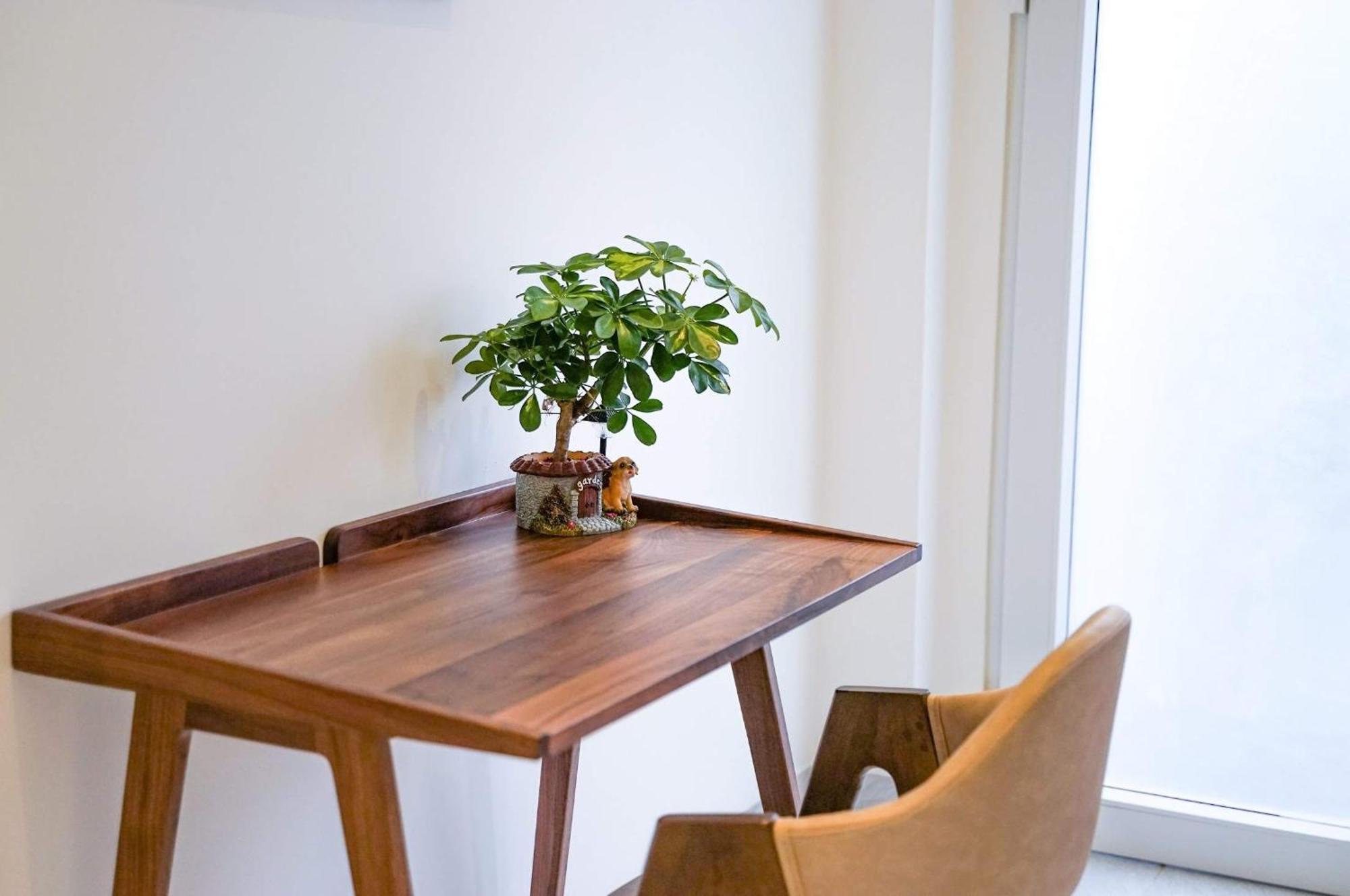 Local White House - Ecofriendly Homestay 다낭 외부 사진