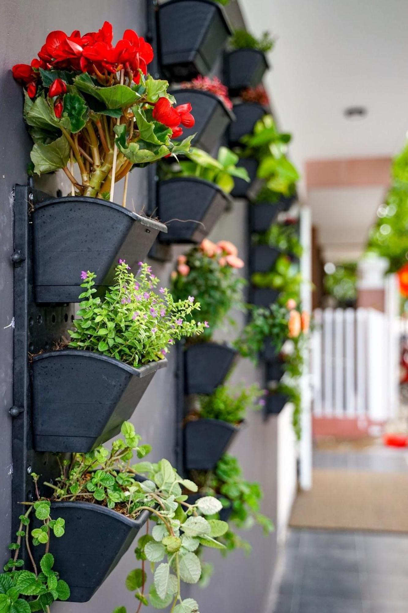 Local White House - Ecofriendly Homestay 다낭 외부 사진