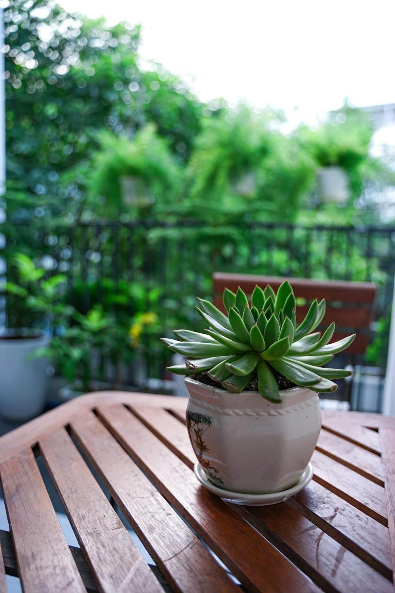 Local White House - Ecofriendly Homestay 다낭 외부 사진