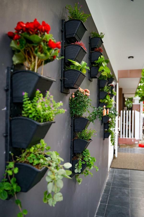 Local White House - Ecofriendly Homestay 다낭 외부 사진